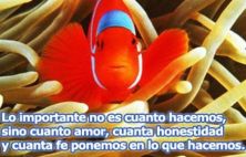 Haga click para ver la imagen ampliada cuanta honestidad y fe ponemos en lo que hacemos.jpg